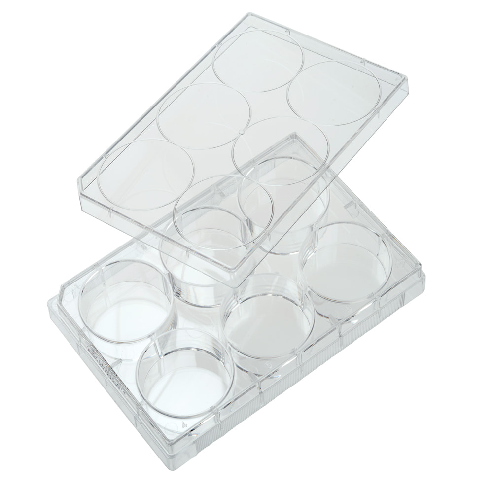 CELLTREAT 6 Well Non-treated Plate with Lid, Flat Bottom, Individual Pack, Sterile, 100/ Case
